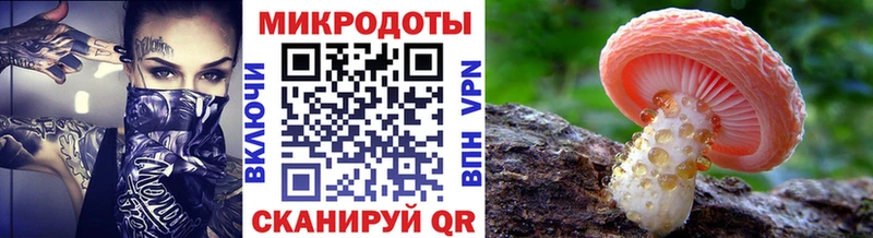 как найти   Красавино  Галлюциногенные грибы Psilocybine cubensis 